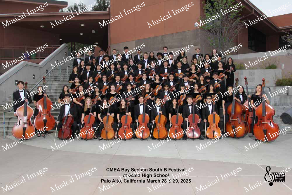 Musical Images